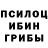 Псилоцибиновые грибы Cubensis Sava Jevtic