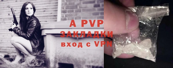 спайс Арсеньев