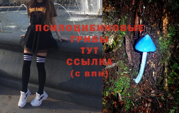 МДПВ Медвежьегорск