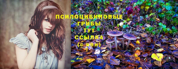 прущая мука Медногорск