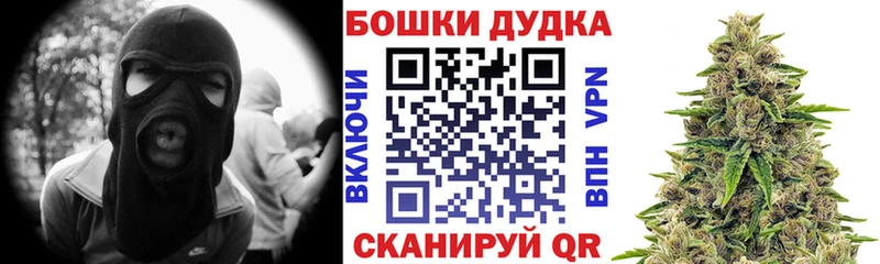 Канабис сатива  OMG зеркало  Краснодар  цена наркотик 